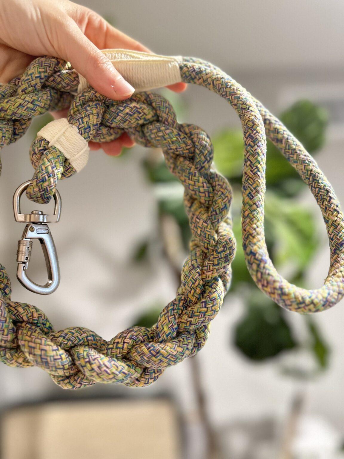 Leashes & Accessories
