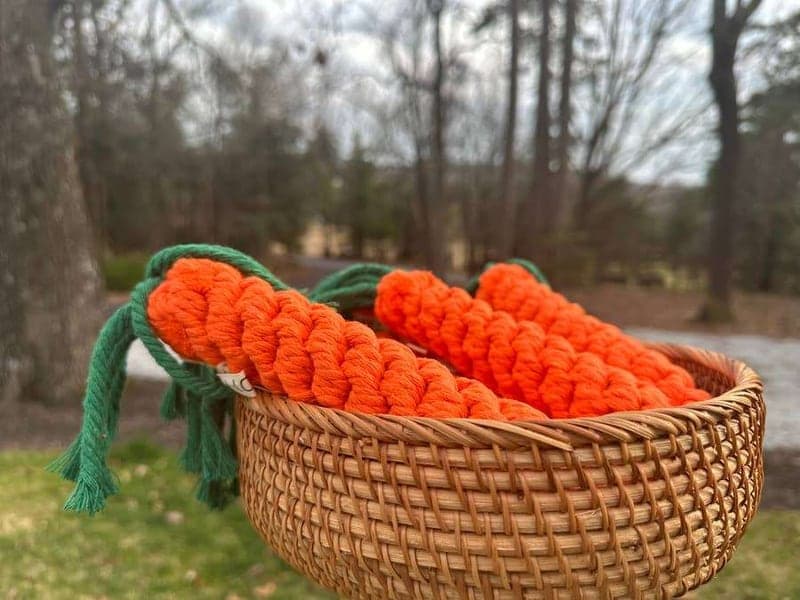 Orange rope carrot toys piled in a woven basket outdoors