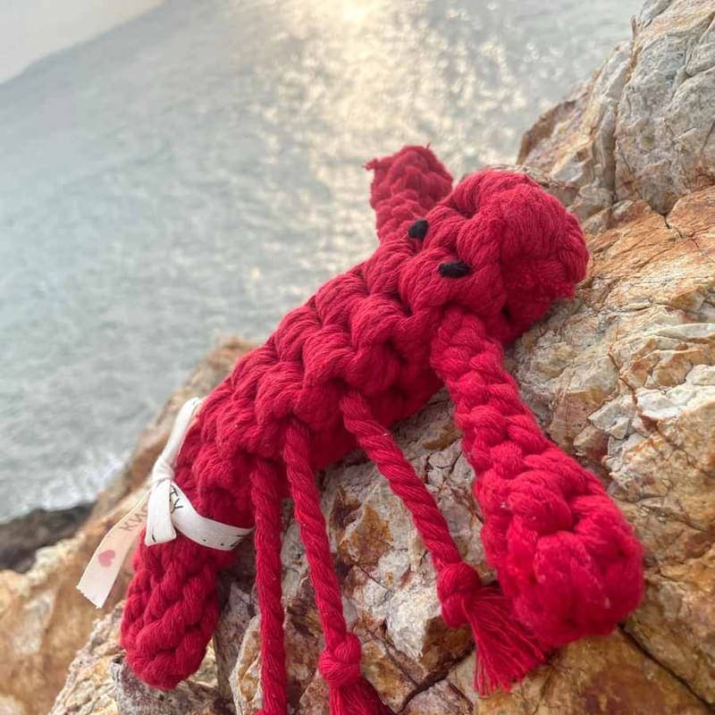 A deep red rope lobster toy resting on wet rocks