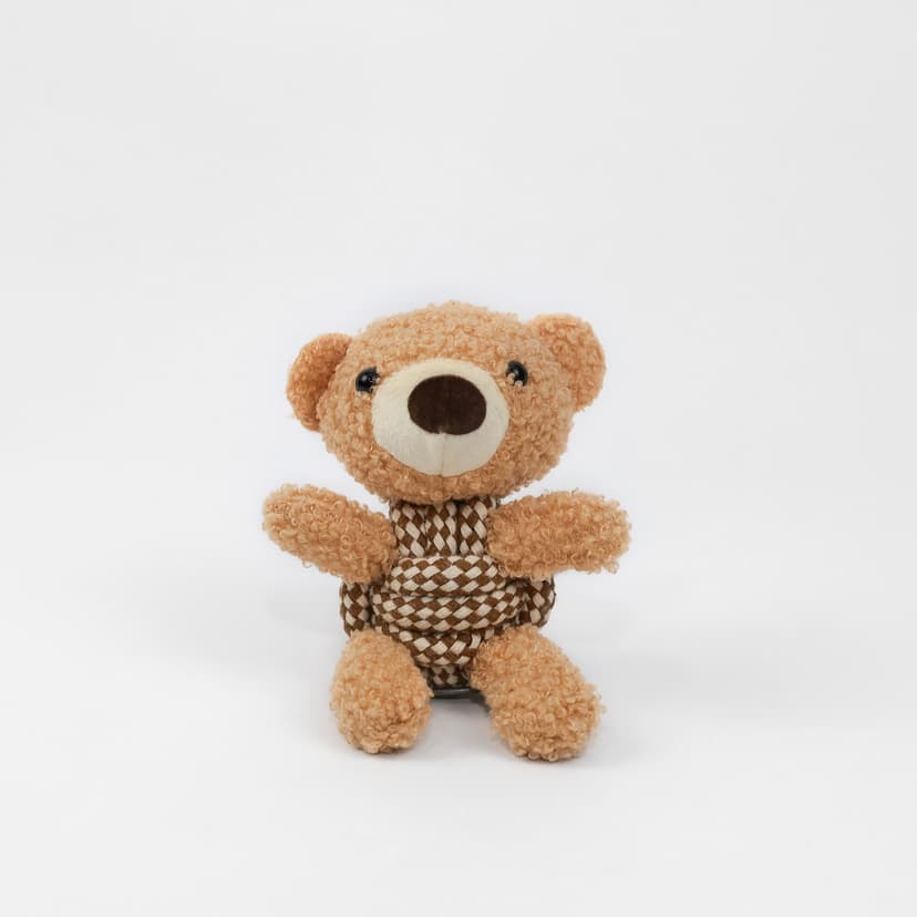 Squeaky Rope Buddies - Coco