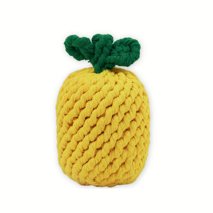 Large Pineapple Rope Toy