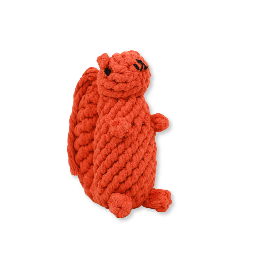 Oliver the Squirrel Rope Toy