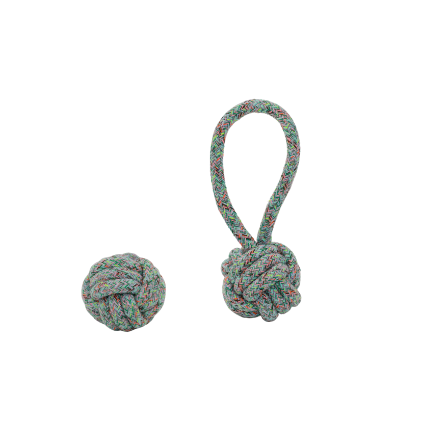 Art Collection Dog Tug Toys